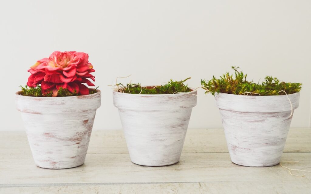 Photo Upcycled Tire Planter