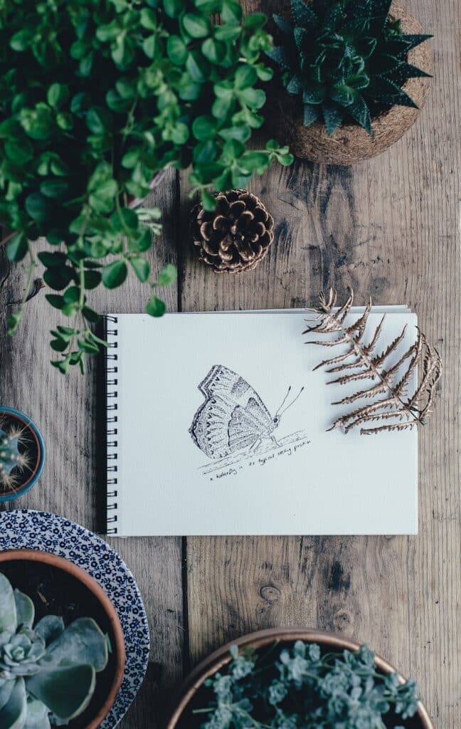 Photo "Sketching in the Wild: How to Use Nature as a Studio"