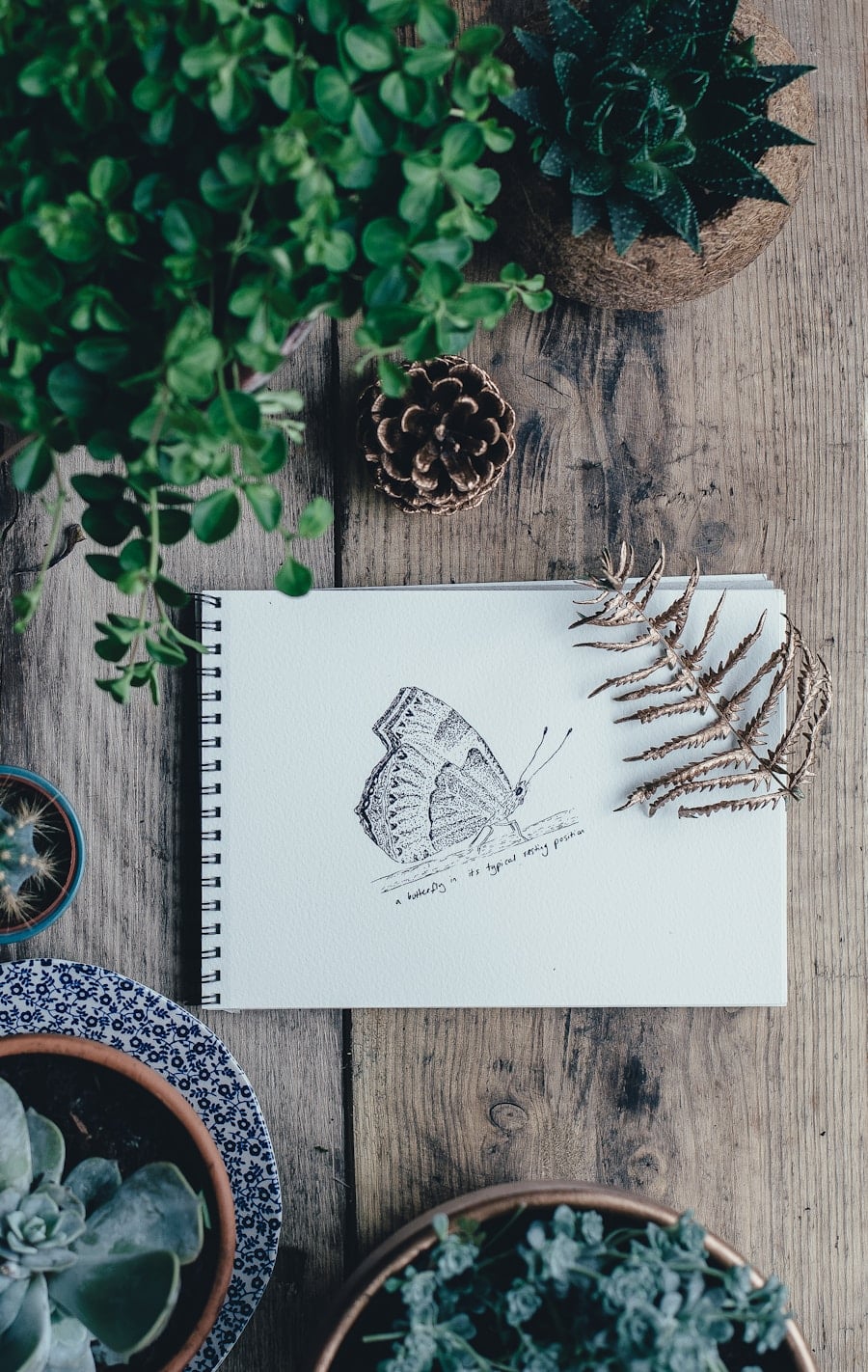 Photo "Sketching in the Wild: How to Use Nature as a Studio"
