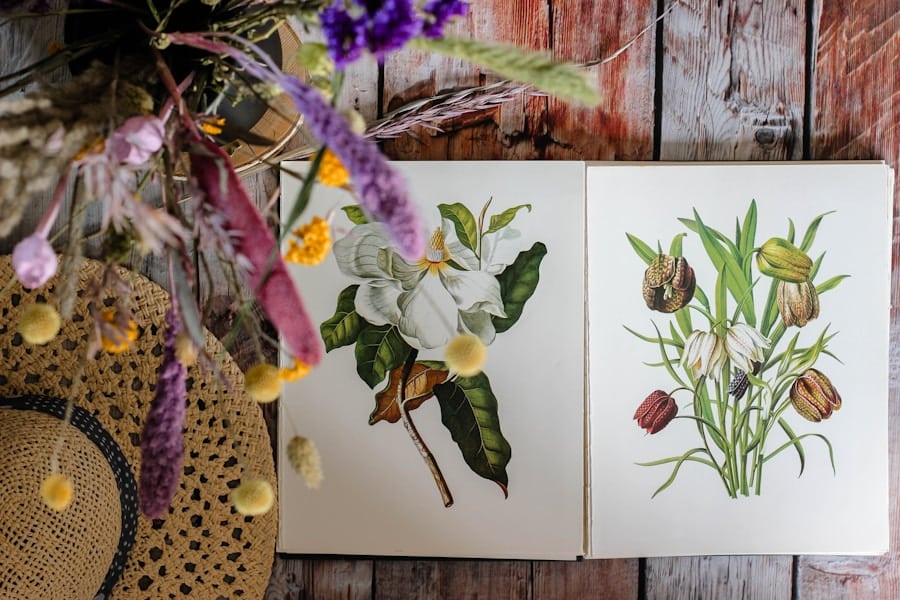 Photo Botanical Art: A Guide to Plant Illustrations