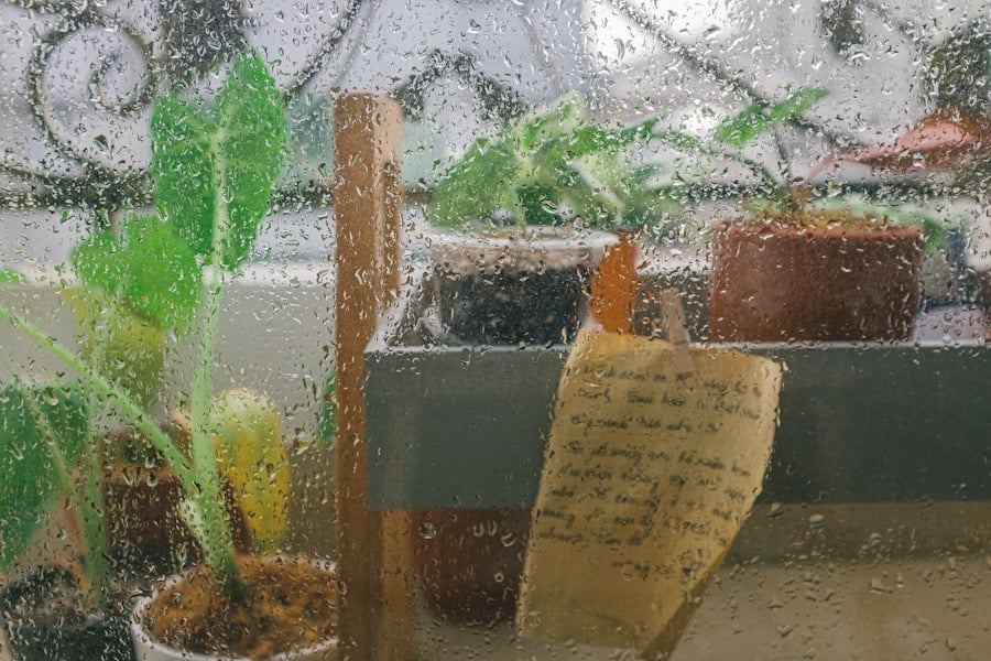 Photo "7 Creative Activities for a Rainy Day"