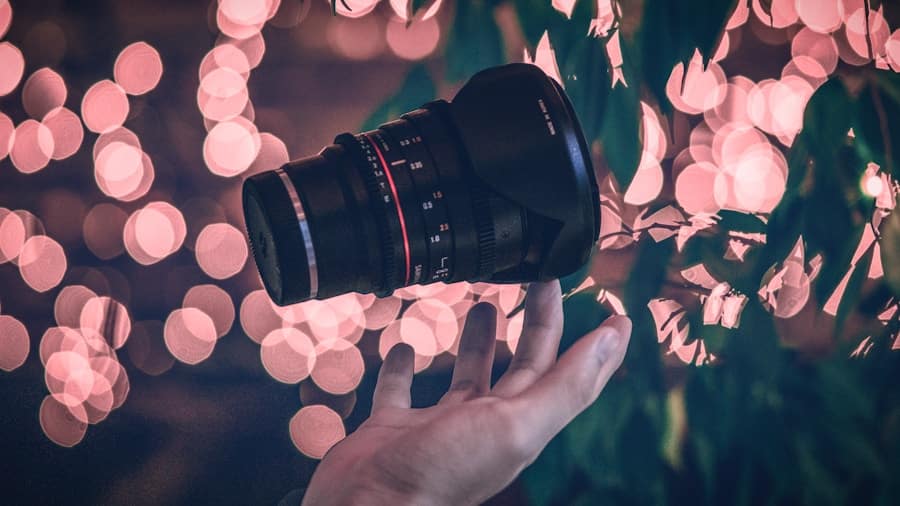 Photo From Photography to Art: Creative Editing Techniques for Beginners