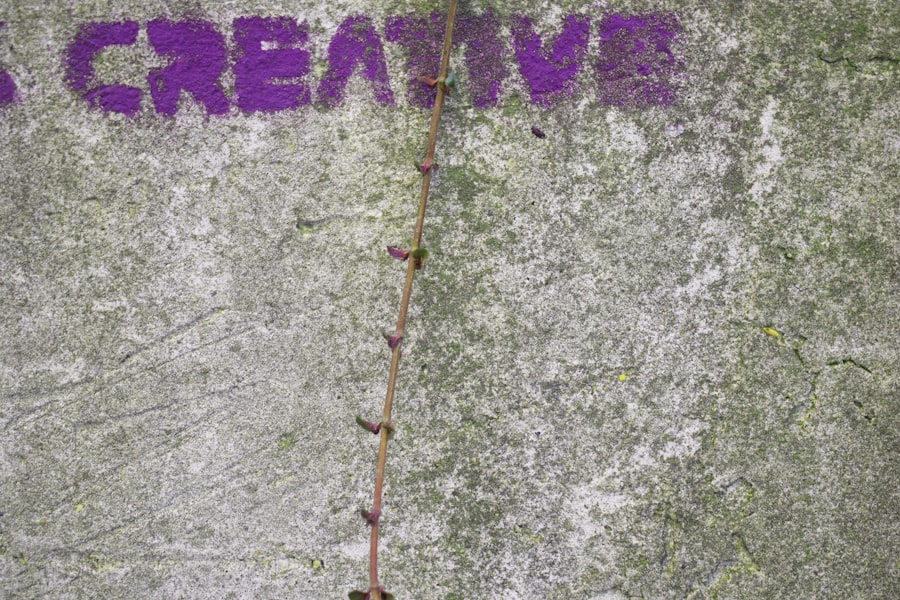 creatie