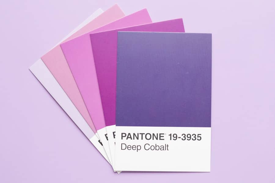 monochrome color palettes