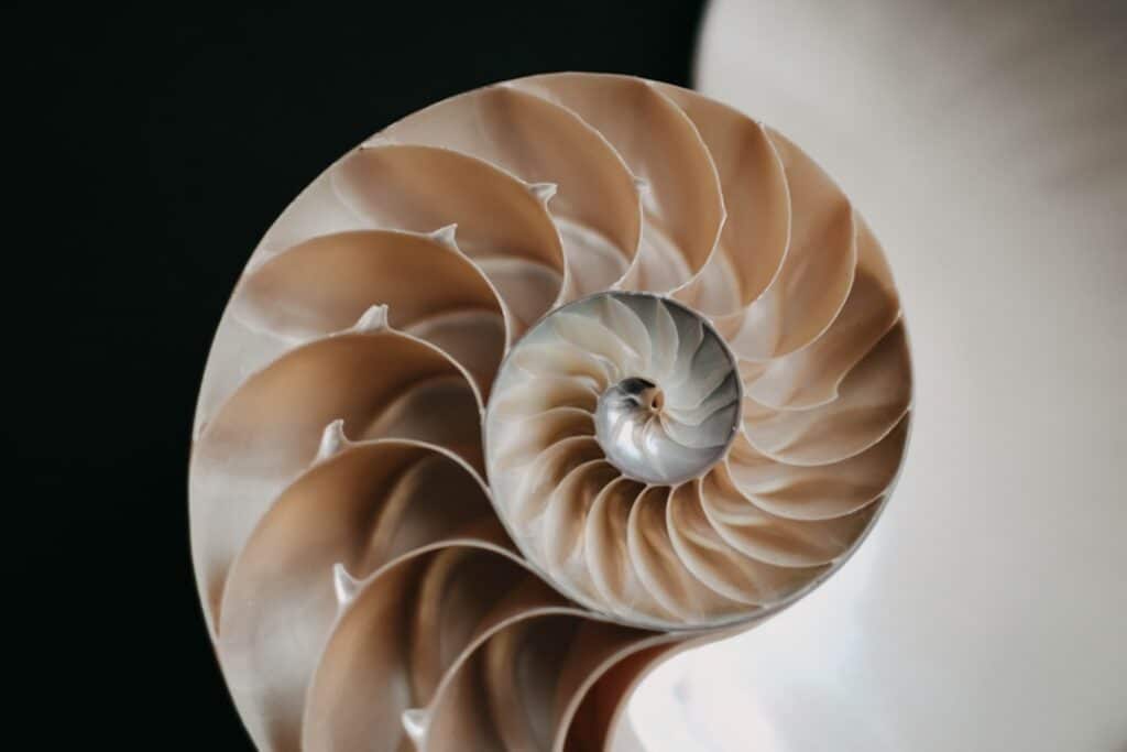 Photo Golden ratio
